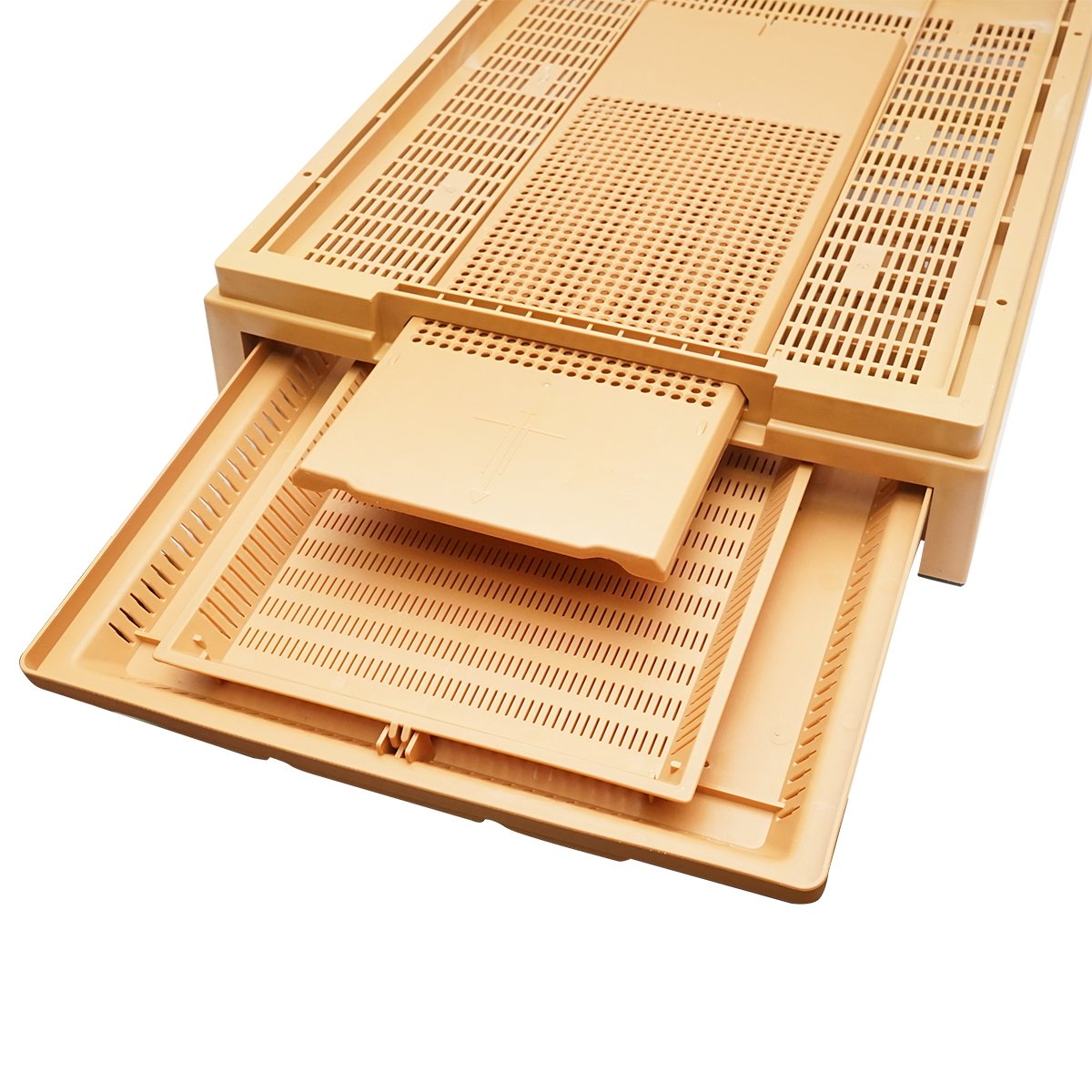 Stup albine din plastic pentru 4 rame 600x510x355mm
